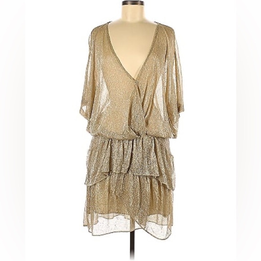 IRO Sheer Gold Wide Dress